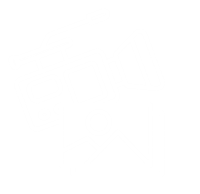 Photography and Photogrammetry